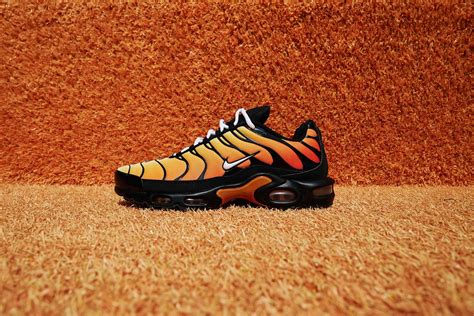 Nike TN shoes